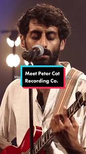 I'm This Peter Cat Recording Co