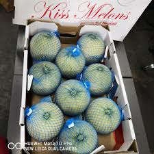 Home Grown: Kiss Melons Sweeter Than Cantaloupe - Kyma