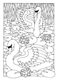 Maybe you would like to learn more about one of these? 16 Swan Ideas Coloring Pages Colouring Pages Bird Coloring Pages
