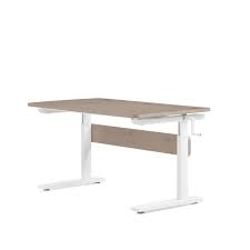 Flexa Schreibtisch Hohenverstell Terra 82 50116 11 412