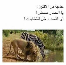 مساطيل funny study quotes funny arabic quotes funny picture jokes