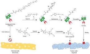 Image result for Hypoxis sp. A (as per FZ 12-3)