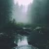 See more ideas about aesthetic, forest, witch aesthetic. 3