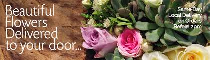 We did not find results for: Carol S Florist Jersey Order Online Or Call