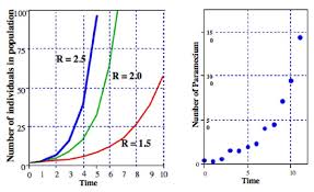 How Populations Grow The Exponential And Logistic Equations Learn Science At Scitable
