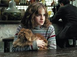 All homeward bound cats and kittens are: The Best Cats Who Have Ever Appeared In Movies Ranked