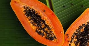 Papaya cultivation in india is a very profitable and relatively safe agriculture business. Papaya Kalorien Nahrwerte Gesundheitsvorteile Eat Smarter