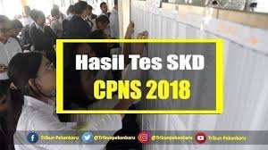 Sudah menjadi tanggung jawab bkn, selaku lembaga pelaksana perekrutan calon pegawai nah buat kamu yang membutuhkan contoh soal tes cpns 2018 dengan format pdf. Hasil Lengkap Tes Skd Cpns 2018 File Pdf Sabtu 12 1 2018 Usai Pendaftaran Via Link Sscn Bkn Go Id Banjarmasin Post