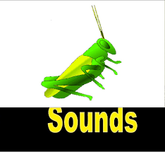 12 hours of owls & crickets at night on a black screen. All Sound Effects Cricket Sound Effects