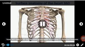 Atypical ribs rib 1 is shorter, most curved and wider than the other ribs. Surface Anatomy Of The Heart 360 Youtube