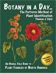 Maybe you would like to learn more about one of these? Botany In A Day The Patterns Method Of Plant Identification Amazon Co Uk Elpel Thomas J 8601400138540 Books