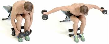 Doing your side laterals seated offers several advantages over doing them standing. Hypertrophy Training Best Workout Program For Hypertrophy Laptrinhx News