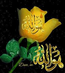 Collection of i love allah images , beautiful allah images hd allah photos with i love allah wallpapers for whatsapp dp,status fb cover pic & i love allah. Allah Wallpaper Love Gif Arabic Love Quotes