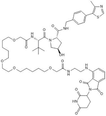 Скит скит намбер ван чит. Crbn Protac 14a Supplier Cas 2358775 70 7 Tocris Bioscience