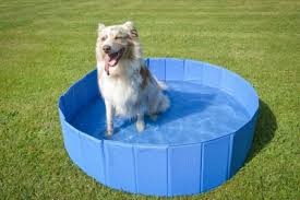 Grande Piscine Pour Chien Zolia Oceadog 120cm