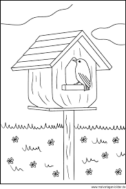 Vogel Im Vogelhäuschen Malvorlagen Und Ausmalbilder