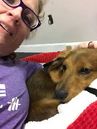 Team work this morning Violet & Victor enjoying a treat ❤️