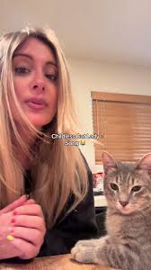 Being a childless cat lady is my whole identity right now 😹🙀  #childlesscatlady #catlady #catmom #catsoftiktok #crazycatlady #fyp  #foryoupage #CapCut