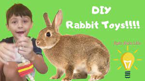 Diy rabbit toys using toilet paper rolls. Diy Rabbit Toys Make Your Own Rabbit Toys At Home Youtube