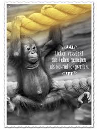 Lieber Verrückt Das Leben Genießen Als Normal Langweilen