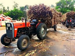 Pin On Tafe Tractors