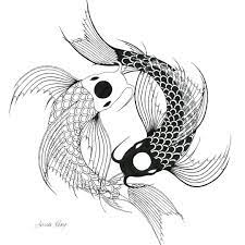 Anna Rezy Illustrations On Instagram Koi Fish Yinyang Yinyangtattoo Illustration Illu Koi Fish Drawing Dragon Koi Fish Tattoo Koi Fish Drawing Tattoo