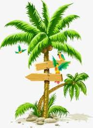 palm tree png and clipart palm tree clip art palm tree drawing tree clipart