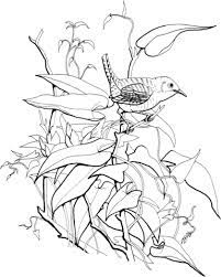 You might also be interested in. House Wren Coloring Page Coloring Pages Bird Coloring Pages Free Printable Coloring Pages