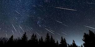 Geminid Meteor Mash I