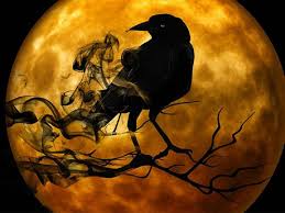 Indonesia mempunyai jutaan spesies langka yang patut menjadi kebanggaan buat kita. Ketemu Burung Hantu Dan Gagak Di Dalam Mimpi Apa Ya Artinya Okezone Lifestyle