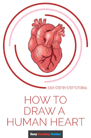 You can edit any of drawings via our online image editor before downloading. How To Draw A Human Heart Really Easy Drawing Tutorial