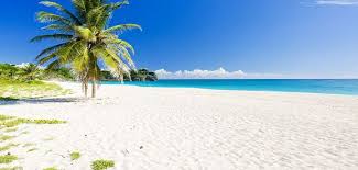 Image result for images of beaches in Barbados