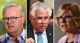 Rex Patrick rallies for Anthony Albanese to hand over diary