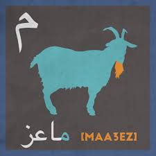 operation mobilisation on instagram م ماعز maa3ez goat across the mena region shepherds can be seen hearing flocks art images letters in arabic artist