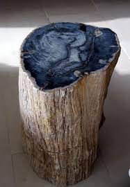 Petrified Wood Table Petrified Wood Table Petrified Wood Wood Table