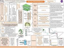 Biology paper 2 required practicals; Plant Cell Organisation Specialisation Ppt Download