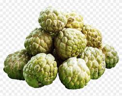 Custard apple, also known as seetaphal in india, is a subtropical fruit belonging to the annonacea family. Free Png Download Custard Apples Png Images Background Custard Apple Fruit Png Clipart 372469 Pikpng