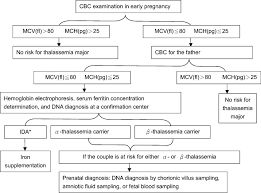 Flowchart For Thalassemia Screening Ida Iron Deficiency