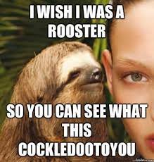 40 Very Naughty Sloth Rape Meme Pictures Images Picsmine