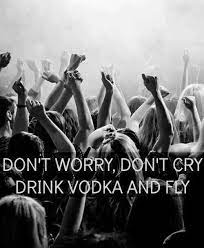 Party Hard Party Zitate Postive Spruche Trink Zitate