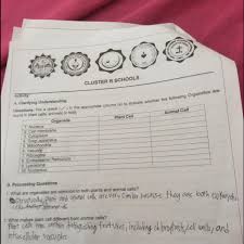 We did not find results for: What Are The Similarities Of Plant And Animal Cells Brainly