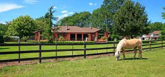 Avoir Son Cheval Chez Soi Les Conseils Classequine