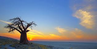 The economy, closely tied to south africa's, is dominated by mining (especially diamonds), cattle, and tourism. Botswana Day In Botswana In 2021 Office Holidays