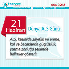 Als Amiyotrofik Lateral Skleroz Motor Noron Hastaligi Bedenimizin Hareketini Saglayan Sinir Hucrelerinin Bilinmeyen Bir Sekilde Olu Motor Noron Tibbi Nisan