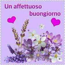 Buona giornata immagini fiori per whatsapp. Buongiorno Con I Fiori Le Immagini Piu Carine Top10immagini It