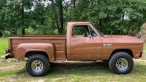 Image result for Mink Brown 1984 Dodge