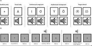 We did not find results for: Frontiers Brain Responses To Letters And Speech Sounds And Their Correlations With Cognitive Skills Related To Reading In Children Human Neuroscience