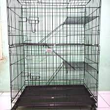 Home » kandang besi » pembuatan kandang kucing dan anjing di bandung. Kandang Kucing Tingkat 3 Size 75x46x100 Cm Shopee Indonesia