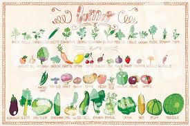 Calendrier De Juillet Fruits Et Legumes De Saison Legumes De Saison Septembre Legumes De Saison