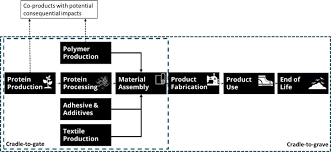 Life cycle stages of BL1. Attributional ...